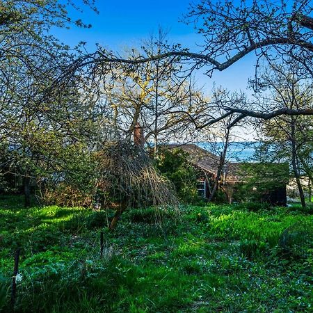 Rustic Rockport Cottage Exterior foto